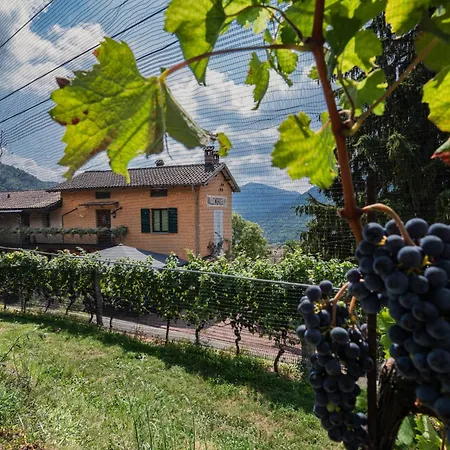 Wine & Art Relais Vallombrosa 3* Castelrotto